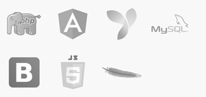 Consulenza informatica